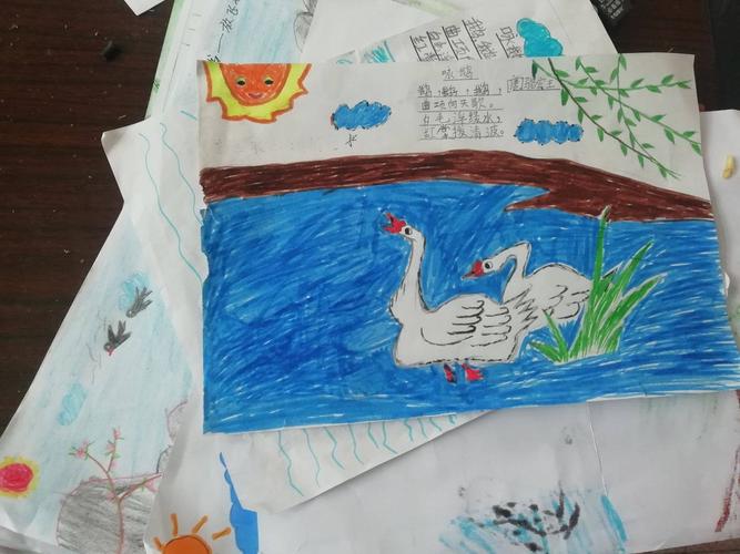 铜井小学读书活动月----手抄报和绘画比赛