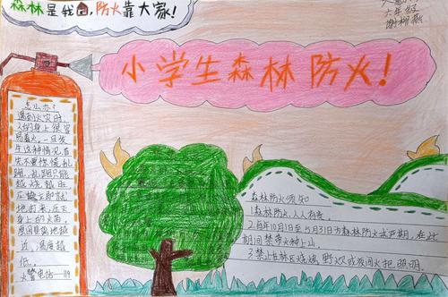 手抄报评比比赛 写美篇 为提高学生的森林防火意识 防范森林火灾