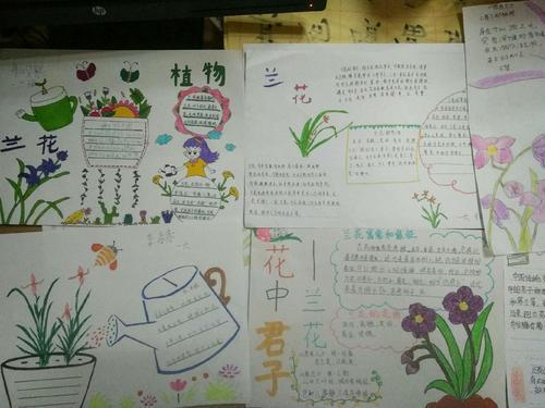 关于花卉简单的手抄报简单的手抄报