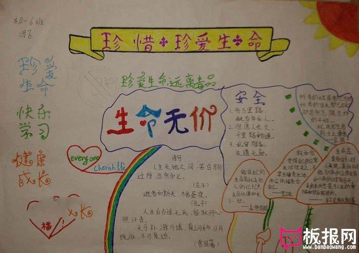 珍惜生命手抄报大全 珍惜珍爱生命