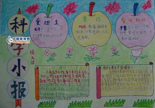 二年级身边的科学手抄报 二年级身边的科学手抄报