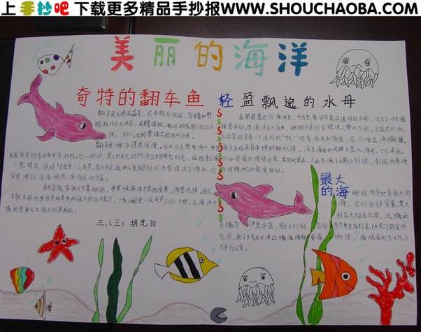 屹在世界的东方小学生手抄报海底世界的手抄报