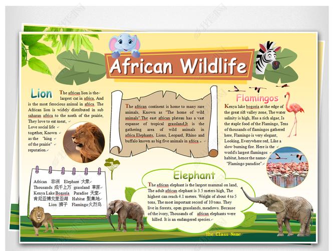原创word模板电子手抄报非洲动物英语小报版权可商用