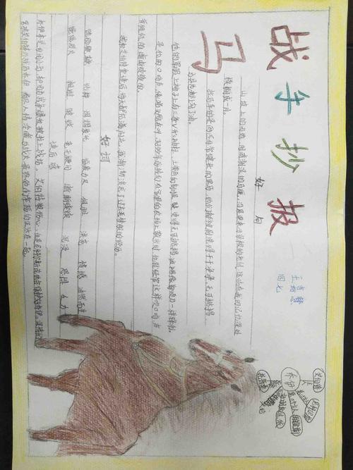 画战马这本书的手抄报书的手抄报