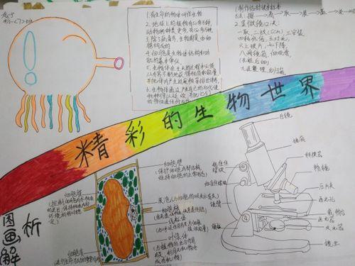 并干齐妙动物和植物的手抄报关于生物的手抄报
