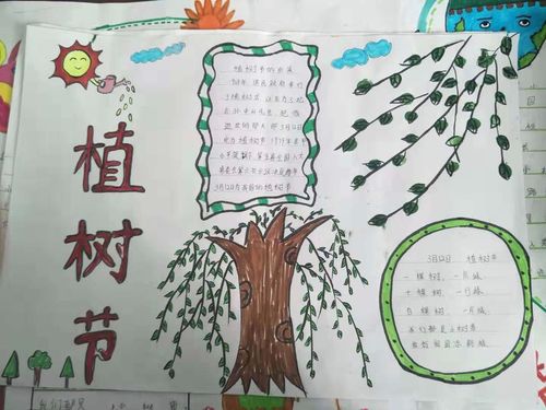 灞桥区新建小学一年级 植树造林 手抄报优秀作品赏