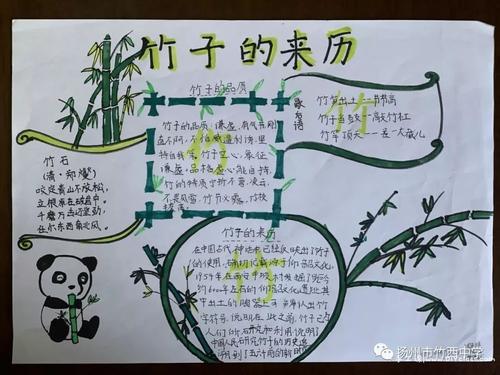 竹文化综合实践活动手抄报作品成长之树社会实践单手抄报 实践手抄报