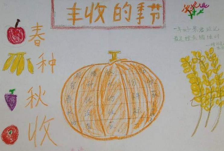 年级的学生为了喜庆丰收制作的手抄报五彩缤纷仅限出丰收的丰收的季节