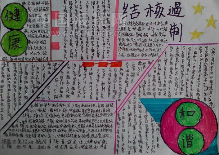 遏制结核健康和谐手抄报