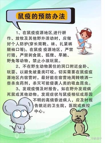 学习鼠疫知识增强防控意识手抄报 安全意识手抄报