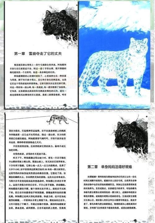 沈石溪的拯救雪豹手抄报手抄报版面设计图