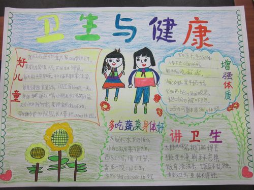优秀 卫生知识手抄报 展