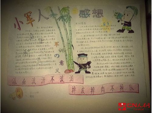 军训心得体会手抄报图片