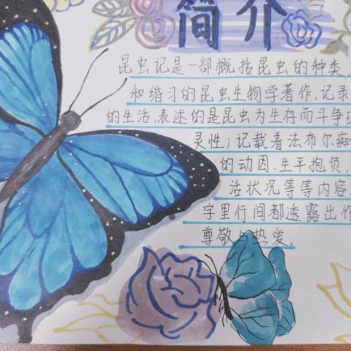 昆虫记手抄报