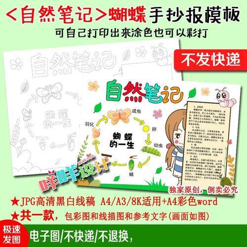 自然笔记之蝴蝶成长记手抄报读书笔记手抄报