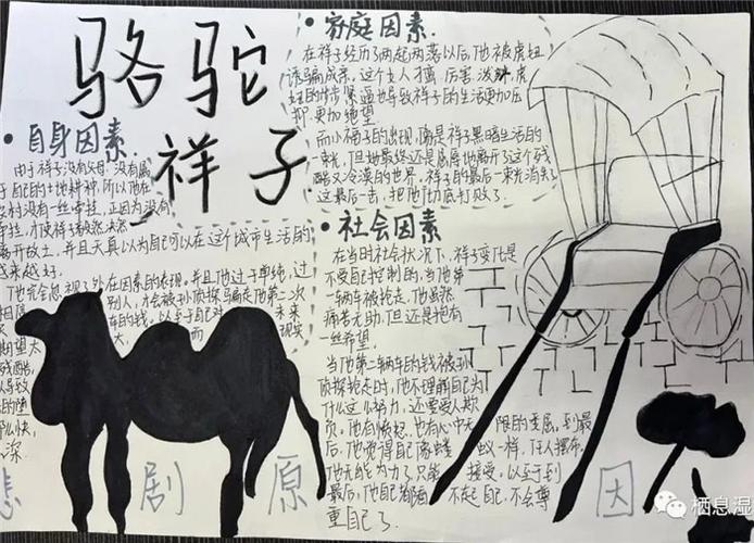 骆驼祥子手抄报内容资料