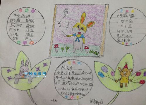 兔子国手抄报图片大全