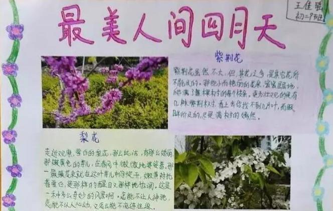 最美人间四月天小学手抄报春天小报手抄报
