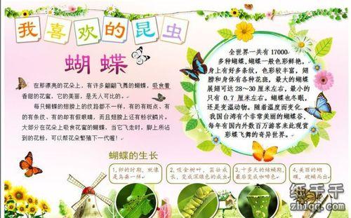 有关于蝴蝶的手抄报手抄报简单又好看
