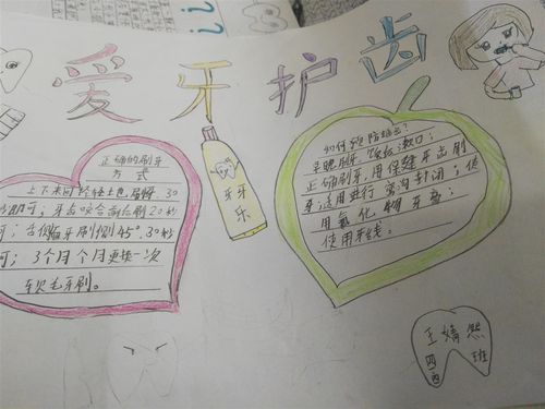 爱护牙齿手抄报 大北涧沽镇小学四年级四班-天津市宁河区大北涧沽小学