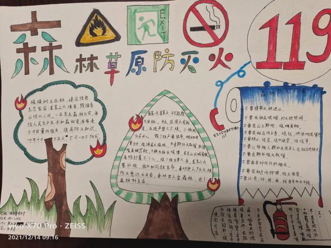 小学生森林草原灭火手抄报小学生手抄报