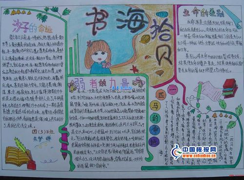 书海漫步行间拾贝手抄报