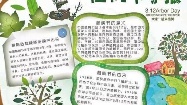 爱护森林手抄报的内容图片