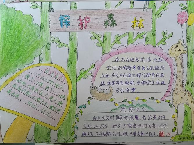 小学生三年级二年级的森林手抄报二年级的手抄报
