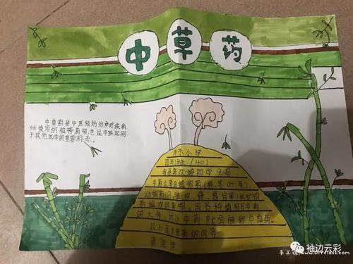 简单又好看的中草药手抄报简单好看的手抄报