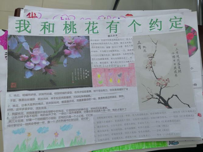 桃花带颜色的手抄报 英语颜色手抄报