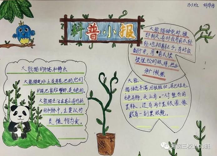 我爱科学手抄报一泗洪县实验小学四年级科学探究活动其它 播下希望的