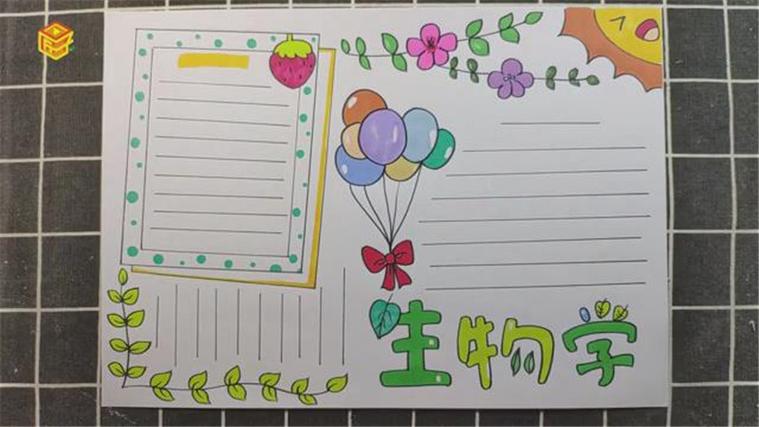 生物手抄报