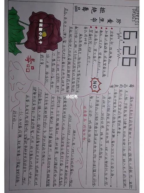 薯小虎过暑假 手抄报素材 素材分享 禁毒手抄报 珍爱生命
