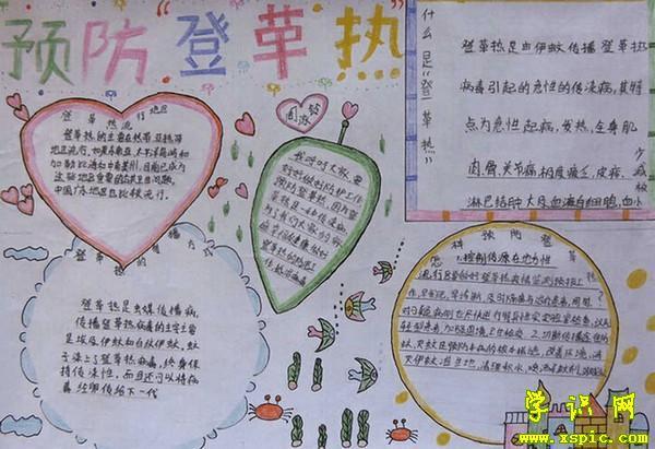 生物防治虫害手抄报关于防虫灭蚊的手抄报 手抄报简单又漂亮防四害 生物防治虫害手抄报关于防虫灭蚊的手抄报 手抄报简单又漂亮防四害