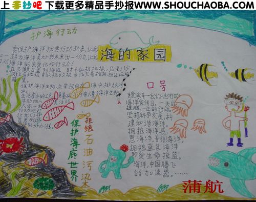 海底世界手抄报13