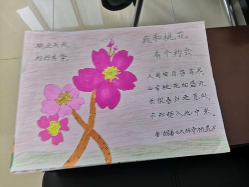 我和桃花有个约会 锡市芳草小学二年级优秀手抄报展