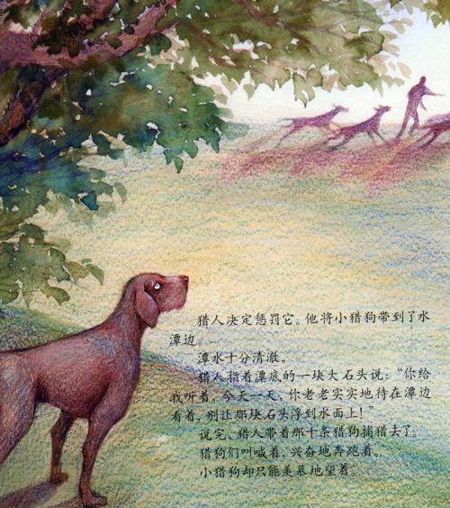 小猎狗这本书的手抄报 书的手抄报
