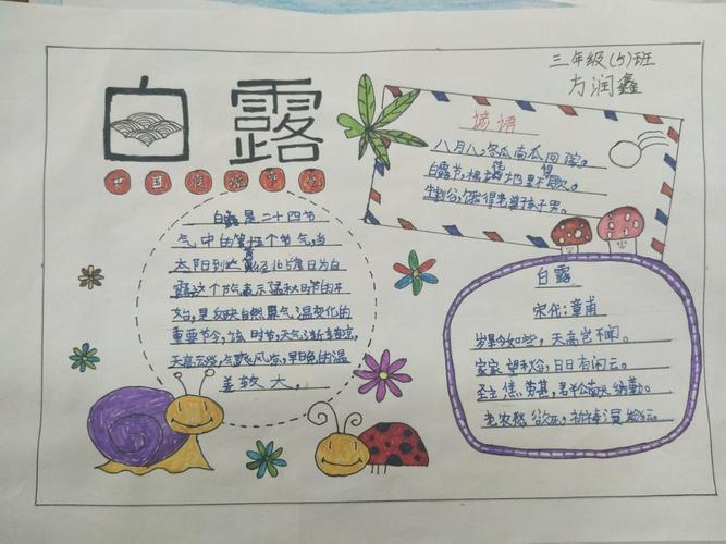 手抄报二十四节气白露手抄报的简单画法小学生白露手抄报内容写什么