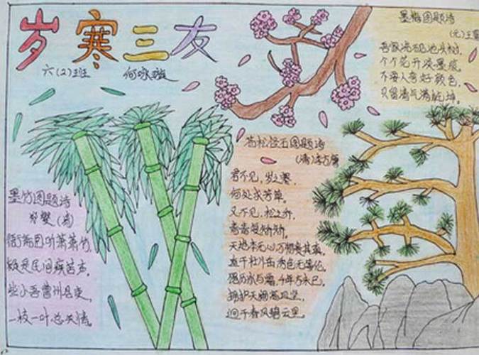 岁寒三友手抄报
