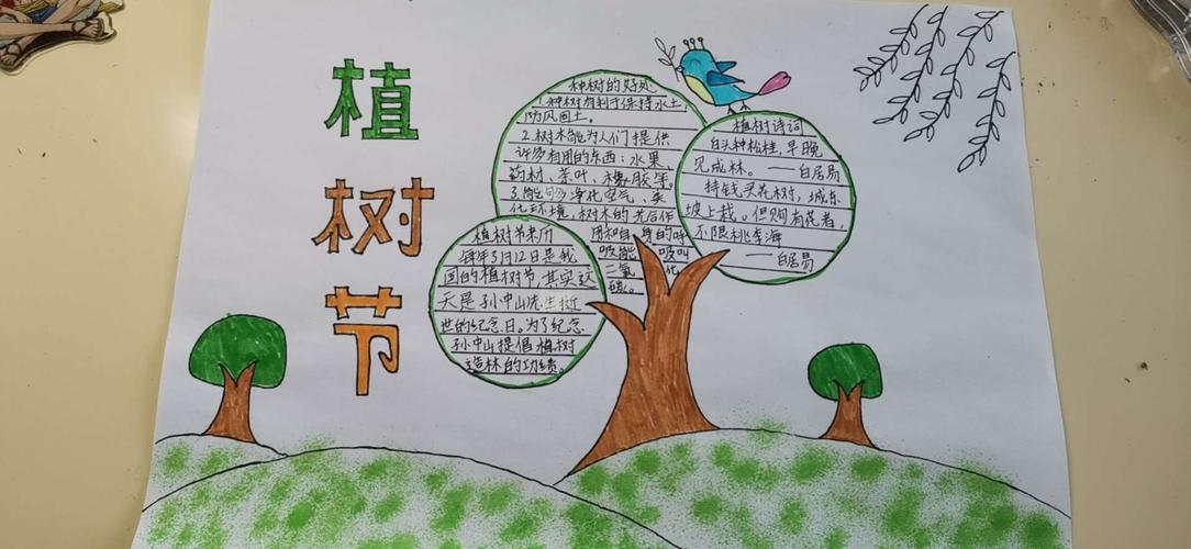其它 播下希望的种子 写美篇同学们亲手绘制插下希望种子的手抄报.