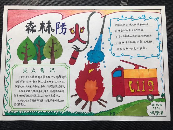 五 7 班 森林防火 主题手抄报