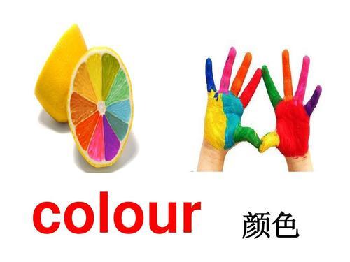 英语colour手抄报英语英语手抄报