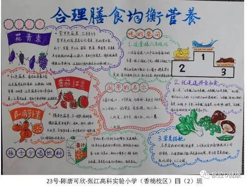 中年人营养套餐比例手抄报数学比例手抄报