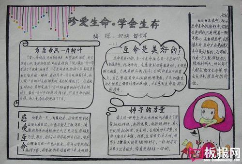 生命手抄报图片大全关于生命的名言小学生安全手抄报图片安全我们永恒