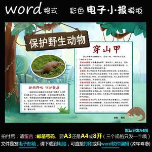 保护穿山甲的手抄报保护手抄报