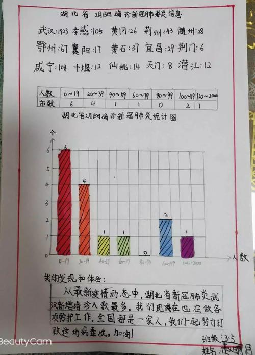 统计图四年级手抄报四年级手抄报