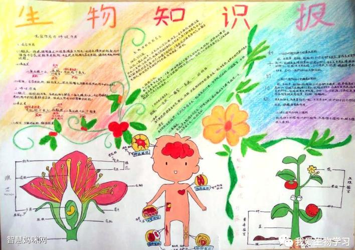 自然手抄报五年级科学生态系统手抄报展示各种各样可爱生灵的手抄报