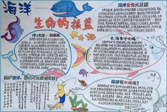 多姿多彩的海洋贝类名手抄报多彩的童年手抄报