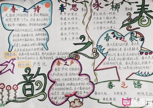 春之韵手抄报 春天手抄报