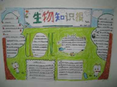 高一生物必修1手抄报 初一生物手抄报